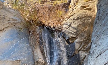 Hiking on the Tahquitz Canyon Trail
